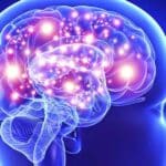 Fun Facts about the Brain