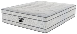 Restonic Dreamscape mattress