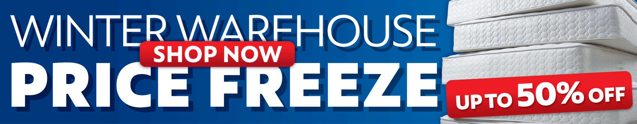 Winter promotion Sale Quuen Size Bed King Single